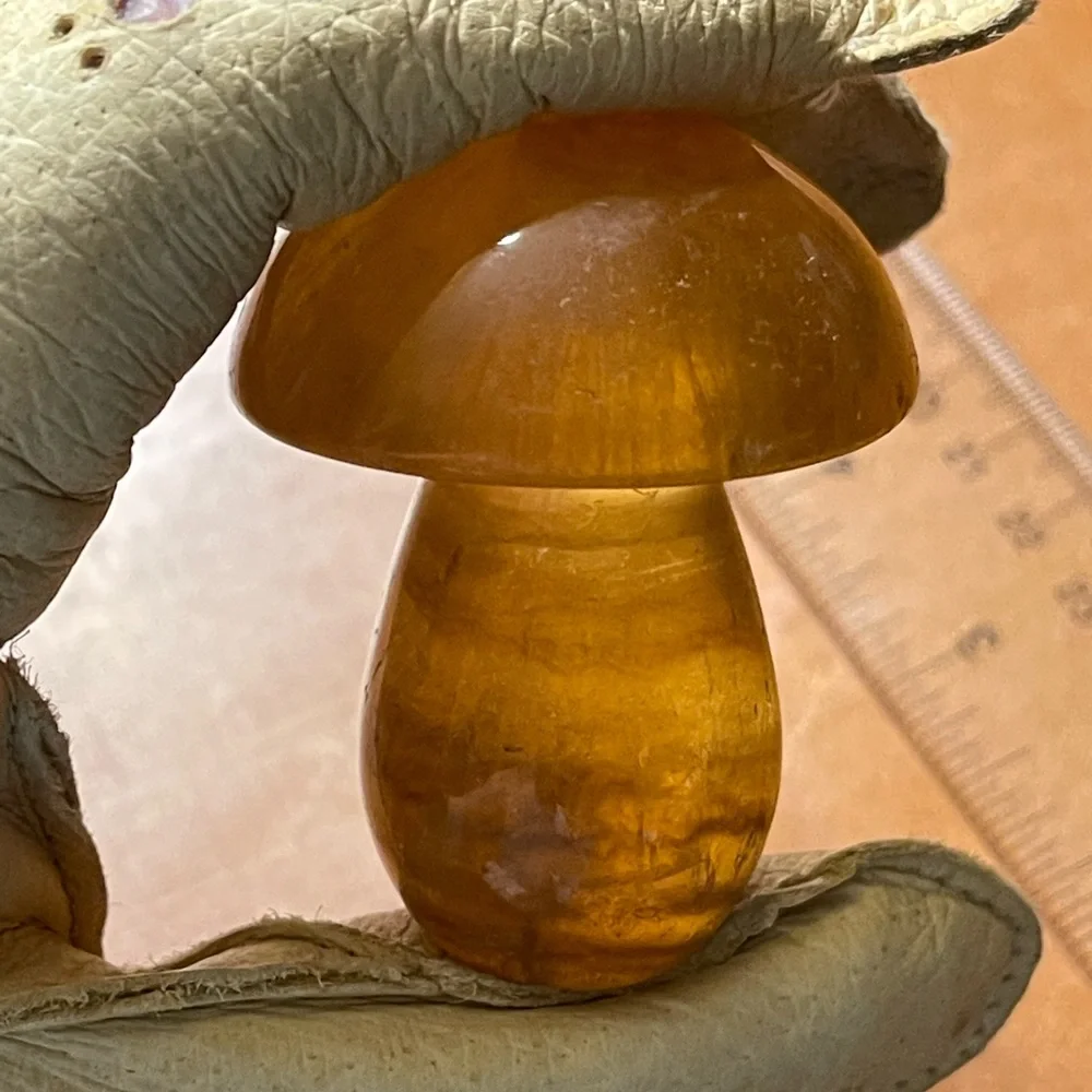 Fluorite Mushroom 🍄HP🍄💛 - Picture 6 of 17